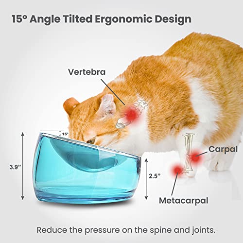 Felli Pet Oblik Whisker Fatigue Cat Food Bowl Raised Stainless Steel Shallow Dish, Pet Design Anti Vomit Tilted Metal Plate Feeder Elevated Acrylic Base(Sapphire, 0.5 Cups Shallow Dish) - color: Sapphire, size: 0.5 Cups Shallow Dish