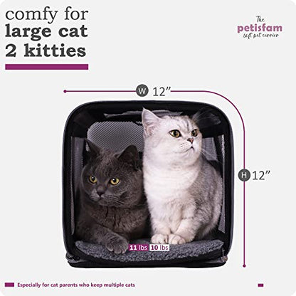 Soft Pet Carrier for Large and Medium Cats, 2 Kitties, Small Dogs. Easy to Get Cat in, Great for Cats that Don't Like Carriers (Viva Magenta) - color: Viva Magenta