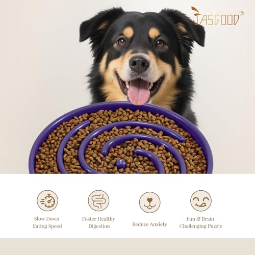 JASGOOD Slow Feeder Bowl for Large Dogs, Anti-Gulping Pet Bowl, Prevents Bloat & Choking - color: N-Taro purple