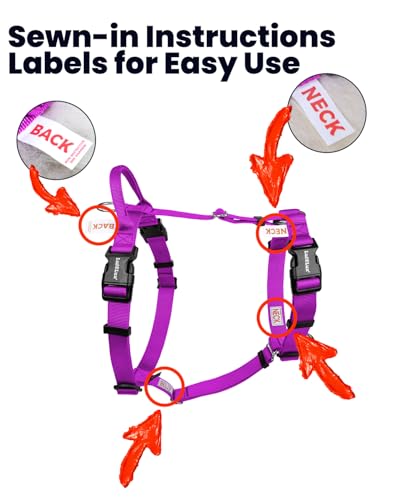 Non Restrictive Dog Harness, Purple, X-Small | Sewn-in Instructions Labels, Easy Walk, No Pull, 2 Clips for Back/Front, Neck Buckle - color: Purple, size: XS