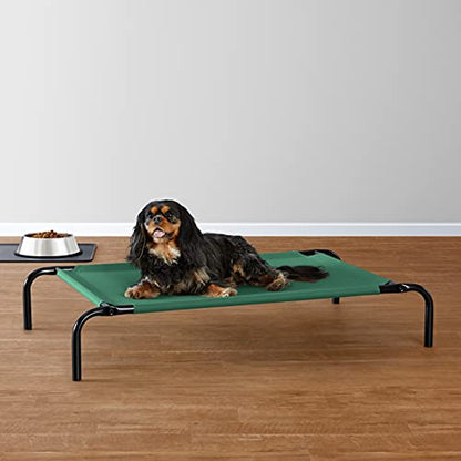 Amazon Basics Cooling Breathable Elevated Dog Bed with Metal Frame for Small Dogs, 36" x 22" x 7.5", Green - color: Green, size: Small