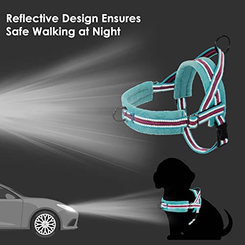 Lukovee No Pull Dog Harness and Leash Set, Soft Padded Small Dog Harness, Neck & Chest Adjustable Reflective Vest Puppy Harness with 4ft Lightweight Anti-Twist Dog Leash for Small Dogs (01-LBL) - color: Light Blue - with Stripe, size: S ( Chest 17.5'' ~ 2