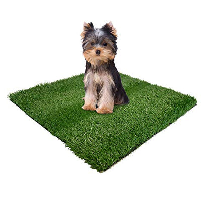 Four Paws Wee-Wee Premium Patch Indoor and Outdoor Pet Potty for Dogs l Dog Potty Training l Artificial Grass l Wee-Wee Patch - size: Small (12 Count), style: Patch