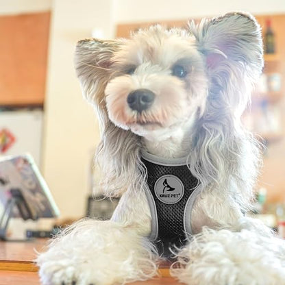 Dog Harness for Small Dogs (Chest 18.5"-19.5", Weight 15–20 lbs) | Athletica Adjustable Heavy Duty Dog Harness | No-Choke Puppy Vest with Lightweight Reflective Air Mesh | Black - Large - color: Black, size: Large