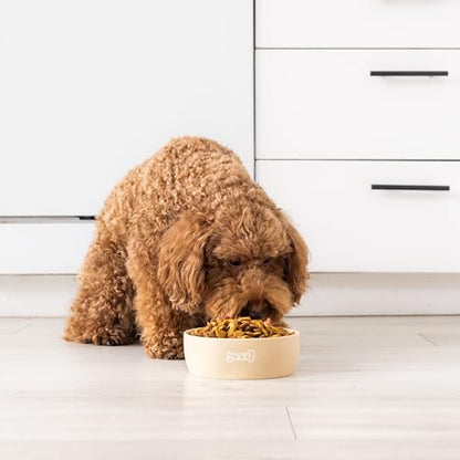 Pearhead Ceramic Dog Bowl – Neutral Taupe “Woof” Design, Holds 2.5 Cups, Non-Skid Stoneware Pet Feeding Dish, 20 oz, Medium - color: Taupe Woof Bowl, size: Medium