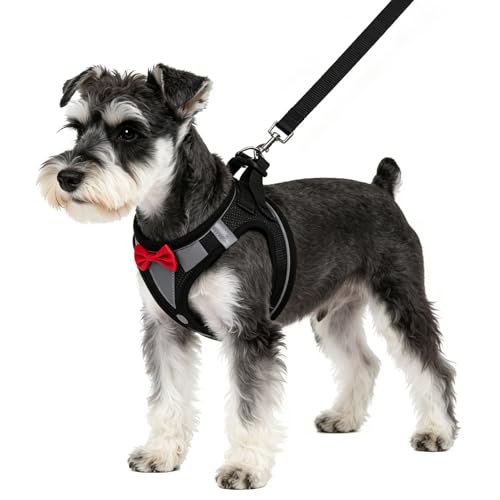 PUPTECK Dog Harness and Leash Set for Small Medium Dogs No Pull Step-in Soft Mesh Puppy Cat Vest Harnesses Reflective at Night, Black Bow Tie, S - color: #3 Black(Bow Tie), size: S(CHEST 14.5"-16", 6.6-14 lbs)