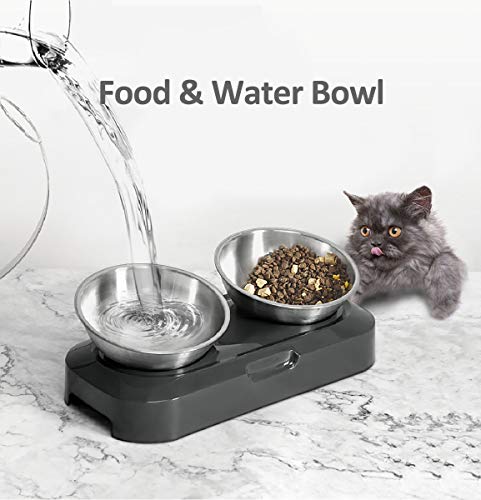 AYADA Raised Cat Food Bowl, Stainless Steel Cat Dish for Dry Wet Food Water, Anti Vomiting Elevated with Stand Ergonomic Lifted Slanted Tilted 15 Angle Metal Single Kitty Kitten Pet Bowl (Double) - color: Double