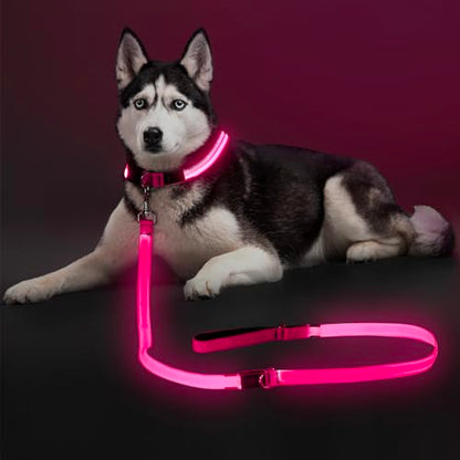 Colaseeme LED Light Up Dog Leash, USB Rechargeable (6FT,Pink) | Glow in dark, reflective, USB-C rechargeable, bright LED for night safety, fits medium to large dogs - color: Pink, size: 6FT