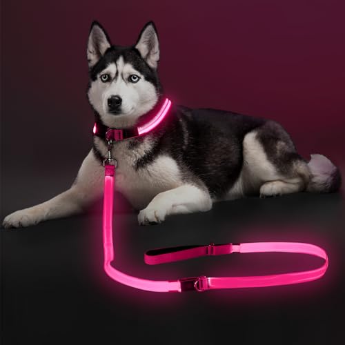 Colaseeme LED Light Up Dog Leash, USB Rechargeable (6FT,Pink) | Glow in dark, reflective, USB-C rechargeable, bright LED for night safety, fits medium to large dogs - color: Pink, size: 6FT