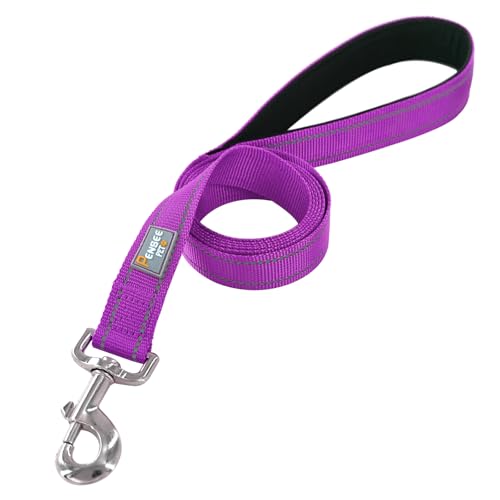 Reflective Dog Leash 6 FT Padded Handle Nylon Dogs Leashes for Small Dogs Dark Magenta - color: Refl Magenta, size: Small : 5/8" x 6 FT