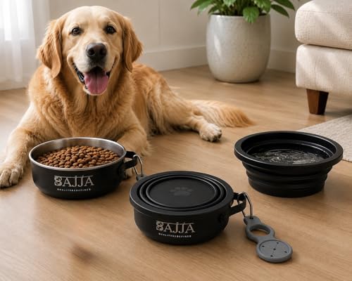 Black Collapsible Travel Dog & Cat Bowl – BPA-Free Silicone & 18/8 Stainless Steel, Portable Non-Slip Food & Water Bowl with Handle, Bottle/Poop Bag Holder – Claim Your - color: Black Bowl