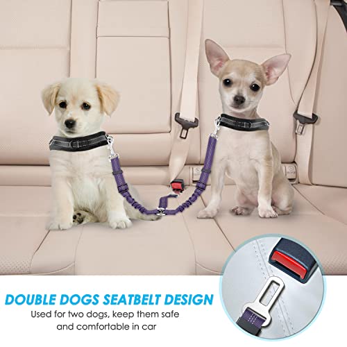 SlowTon Dog Seat Belt, Double Dog Seatbelt Adjustable Vehicle Safety Leash with Elastic Bungee Buffer, Reflective No Tangle Y Shape Two Dog Harness Seat Belt Splitter for Pets Car Trip (Purple, S) - color: H.Purple, size: 2 Small in 1