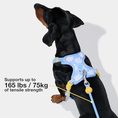 VETRESKA Crossbody Hands Free Dog Leash, 5FT Adjustable Rope Leash for Small Medium Dogs, Waist Multifunctional Leashes for Walking, No Pull Dog Leashes with Bag Dispenser, 2 in 1 Walk Set (Daisy) - color: Daisy Blue