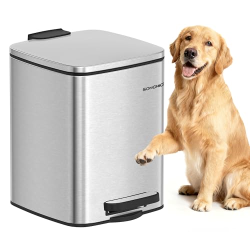 SONGMICS Dog Poop Trash Can, 1.6-Gallon (6 L) Outdoor Garbage Can with Lid, Soft Close, Stainless Steel with Inner Bucket, Metallic Silver ULTB590E02 - color: Metallic Silver