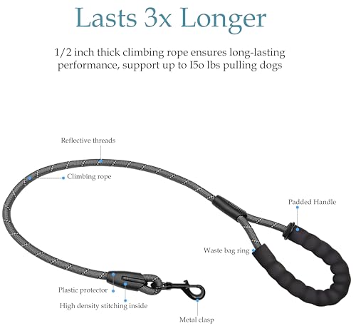 Double Dog Leash for Two Dogs, Heavy Duty Adjustable No Tangle, Bungee Retractable Split Multiple Leash for Walking 2 Dogs, 5.5FT-1/2”, Black