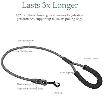Double Dog Leash for Two Dogs, Heavy Duty Adjustable No Tangle, Bungee Retractable Split Multiple Leash for Walking 2 Dogs, 5.5FT-1/2”, Black