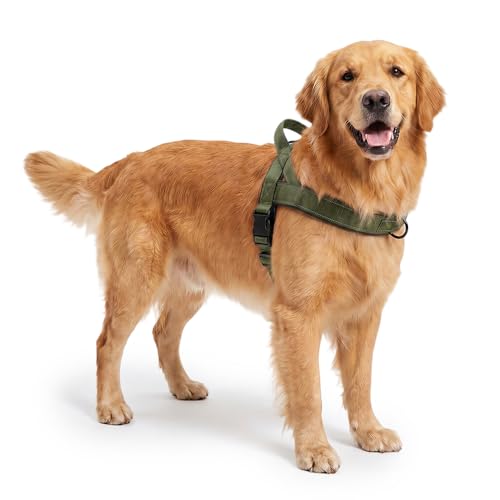 No-Pull Dog Harness with Handle, Adjustable Reflective Pet Vest Tactical Harness for Small Medium Large Dogs Walking Training, Front Clip, Escape Proof & Heavy Duty D-Ring (Green, M) - color: Green, size: M