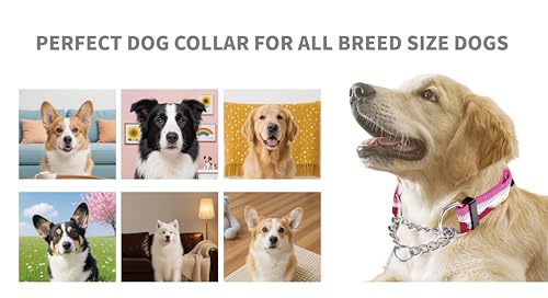 Martingale Dog Collars with Stainless Steel Chain, Reflective No Pull Walking Training Collar with Quick Release Buckle, Adjustable Slip Chain Nylon Dog Collars for Small Medium Large Dogs - color: Red and blue, size: Small