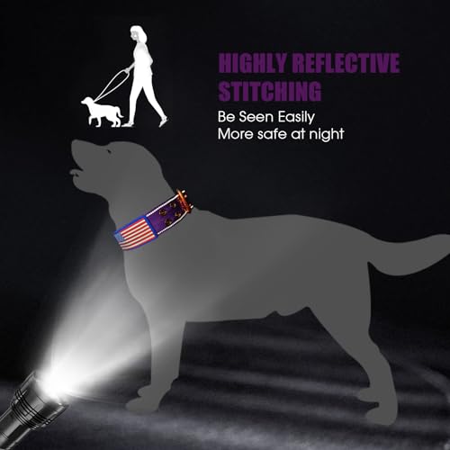 Heavy Duty Tactical Dog Collar with Neoprene Padded and Metal Buckle, Reflective Nylon for Medium to Large Dogs(Purple, Medium) - color: Purple, size: Medium (Pack of 1)