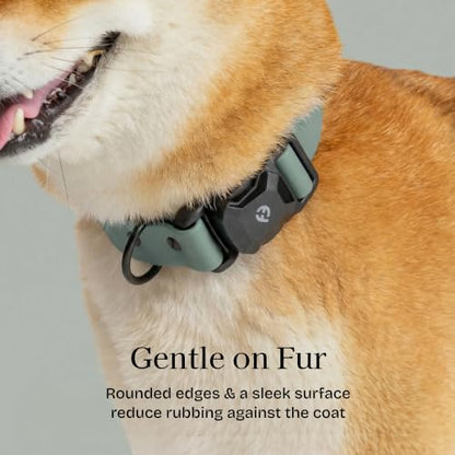 Fei & Eve VERO Dog Collar, Glacier Green, Small | MagEase Magnetic Buckle, Waterproof PVC, Odor Resistant, Easy Clean, Heavy Duty - color: Glacier Green, size: S