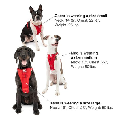 Kurgo Enhanced Strength Tru-Fit Dog Car Harness - Pet Travel Safety Harness - Crash Test Certified Fit - Five Point Adjustment - Secure Buckle - Padded Chest - Black - X-Large