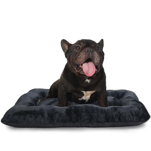 Small Dog Crate Bed 24 x 18 - Washable Extra Soft Kennel Mat, Cozy Fluffy With Anti-Slip Bottom for 24 Inch Crates - Pillow Cushion Puppy Mattress Pad, Black - color: Black, size: 24"L x 18"W x 2"Th