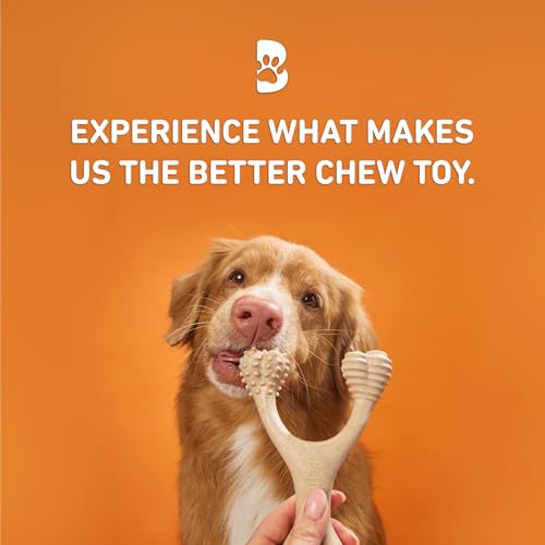 BetterBone - Hard Density - Ideal for Strong to Aggressive Chewers - All-Natural, Nylon-Free Dog Chew Toys - Non-Toxic, Promotes Dental Health, Splinter-Resistant, Sustainably Made - size: Mini