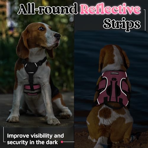 rabbitgoo Escape Proof Dog Harness Small Sized Dog, Soft Padded Full Body Pet Harness, Reflective Adjustable Vest with Lift Handle and Leash Clip for Walking Hiking Training, Light Pink, S - color: Light Pink, size: Small (Pack of 1)