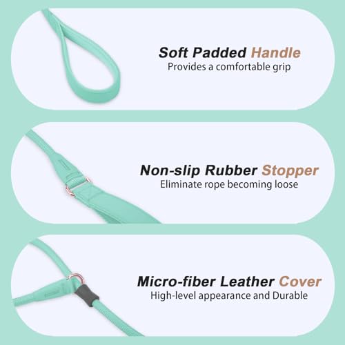 Slip Lead Dog Leash, Dog Training Leash with Double Handle, Soft Leather Slip Leash and Collar, Heavy Duty Nylon Dog Lead, No Pull Walking for Medium Large Small Dogs 6ft Mint Green - color: Mint Green, size: 6ft