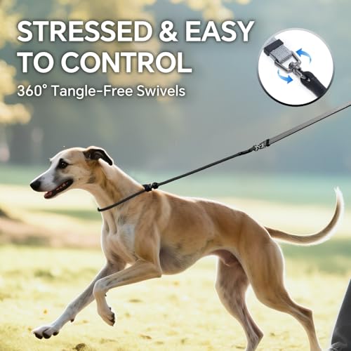 QQPETS Adjustable Slip Lead Dog Leash, Hands Free Waist Leash for Dog Walking, Reflective Training Lead with 360° Swivel Anti-Tangle, 4-7 ft Length for All Breeds - color: Grey Gradient