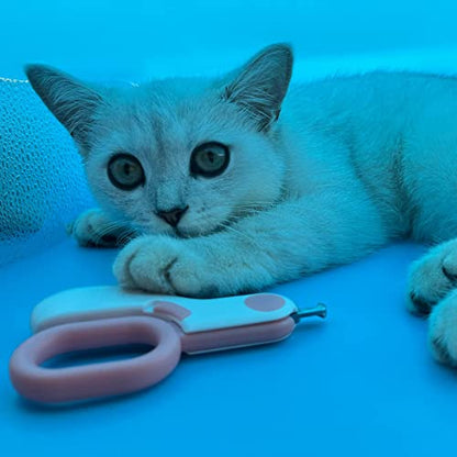 Small Animals Nail Clippers with LED Lights to Avoid Excessive Cutting and Razor Sharp Blades - Professional Claw Trimmer for Tiny Dog Cat Kitten Bunny Rabbit Bird Guinea Pigs Ferret Hamsters (Blue) - color: Blue