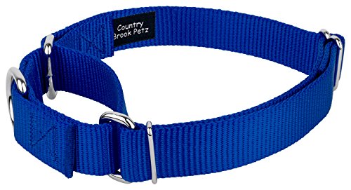 Country Brook Petz - Royal Blue Martingale Heavyduty Nylon Dog Collar and Double Handle Leash (1 Inch, Extra Large) - color: Royal Blue, size: Extra Large (Pack of 1)