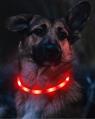 Joytale Light Up Dog Collar, Rechargeable Rainproof LED Collar for Night Walking Safety, Soft Silicone Glow in The Dark, Suitable for Small Medium Large Dogs, Red - color: Red