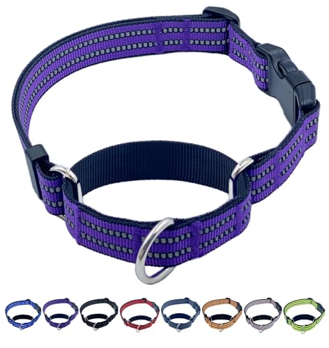 Martingale Dog Collars with Quick Release Buckle, Heavy Duty Nylon Reflective Dog Collar, NO Pull Walking Training Collar for Large, Medium, Small Dogs (Purple, Small) - color: Purple, size: Small