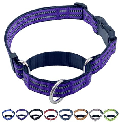 Martingale Dog Collars with Quick Release Buckle, Heavy Duty Nylon Reflective Dog Collar, NO Pull Walking Training Collar for Large, Medium, Small Dogs (Purple, Small) - color: Purple, size: Small
