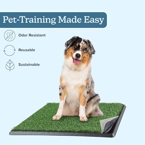 Artificial Grass Puppy Pee Pad for Dogs and Small Pets - 20x25 Reusable 4-Layer Training Potty Pad with Tray - Dog House and Pet Supplies by PETMAKER - size: Medium 4-Layer System