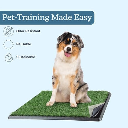 Artificial Grass Puppy Pee Pad for Dogs and Small Pets - 20x25 Reusable 4-Layer Training Potty Pad with Tray - Dog House and Pet Supplies by PETMAKER - size: Medium 4-Layer System