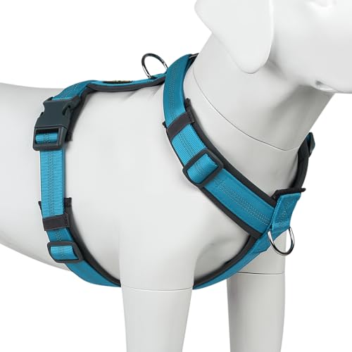 Plutus Pet No Pull Dog Harness, Adjustable Nylon Harness with Soft Padding, Reflective and Heavy Duty Dog Harness for Small, Medium, Large Dogs(Cyan, M) - color: Cyan, size: M