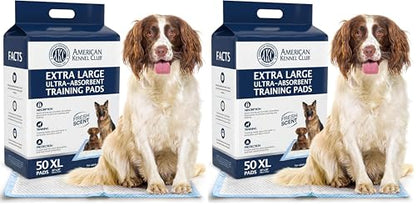 American Kennel Club Scented Puppy Training Pads with Ultra Absorbent Quick Dry Gel – 28 x 30 Pee Pads for Dogs - Fresh Scented - 50 Count, XL (Pack of 2) - size: 28 x 30 - 50 Count (Pack of 2)