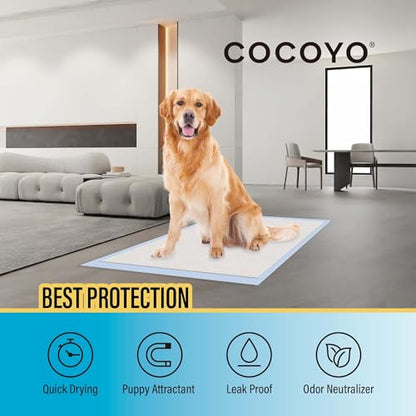 COCOYO Training Pads, 30"X36", 40 Count, XXL - size: XX-Large