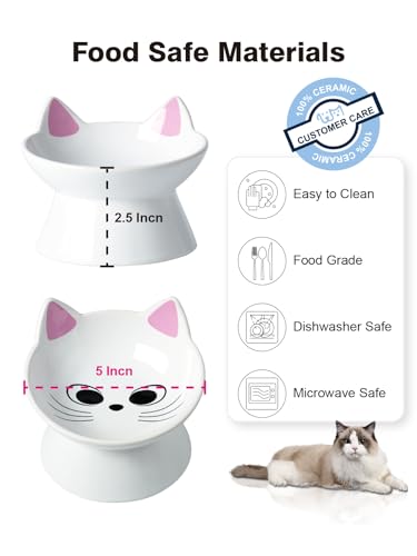 ABRUTY Cat Food Bowl, 5 OZ Ceramic Elevated Kitten Water Bowl, 15° Tilted Raised Pet Feeder, Anti Vomiting and Whisker Friendly Dishes for Fat Faced, Cat, Kitten, Small Dog - color: Pink Cat, size: 1 Pack
