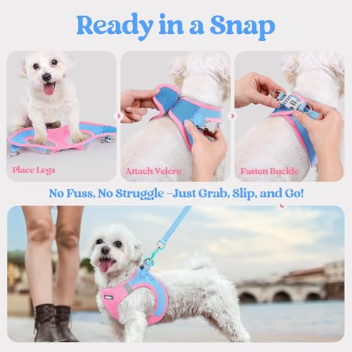rabbitgoo Dog Harness Small Sized and Leash Set, Step in Soft Light Puppy Vest, Breathable Mesh Pet Harness, Reflective for Safe Easy Walking, Blue & Light Pink XXS - color: Blue & Light Pink, size: Xxs (chest: 12.4 - 14.2")