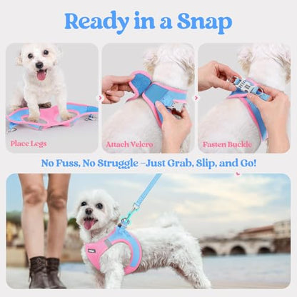 rabbitgoo Dog Harness Small Sized and Leash Set, Step in Soft Light Puppy Vest, Breathable Mesh Pet Harness, Reflective for Safe Easy Walking, Blue & Light Pink XXS - color: Blue & Light Pink, size: Xxs (chest: 12.4 - 14.2")