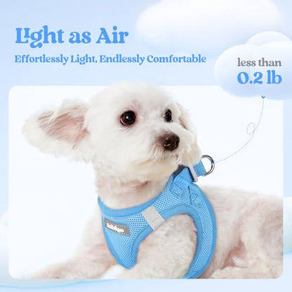 rabbitgoo Dog Harness Small Sized and Leash Set, Step in Soft Light Puppy Vest, Breathable Mesh Pet Harness, Reflective for Safe Easy Walking, Blue XXS - color: Blue, size: Xxs (chest: 12.4 - 14.2")
