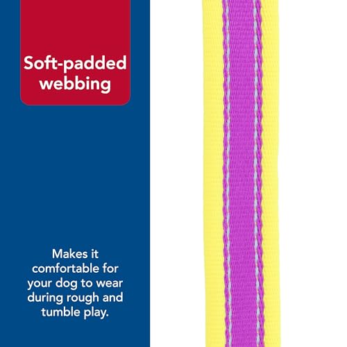 Coastal Pet - Pro - Reflective Adjustable Dog Collar, Purple with Yellow, 1" x 14-20" - color: Purple with Yellow, size: 1" x 14-20" (Pack of 1)