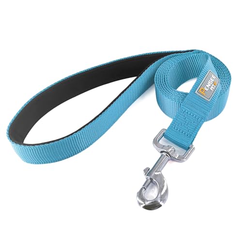 Basic Dog Leashes 6 FT Padded Handle Nylon Dogs Leashes for Small Dogs Light Blue - color: Light Blue, size: Small : 5/8" x 6 FT