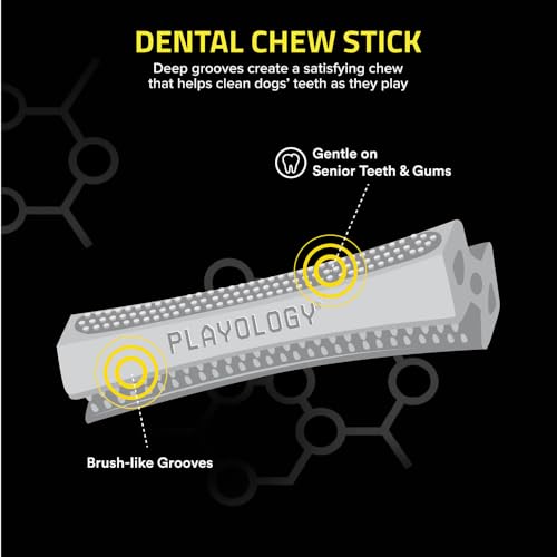 Playology Dog Toys | Dental Chew Stick for Senior Dogs | Pork Sausage Scented Medium Toy | Dog Chew Toy for Healthy Teeth and Gums - size: Medium Chew Stick, style: Pork Sausage