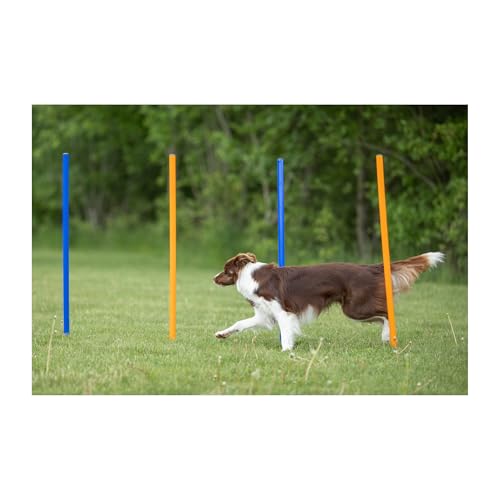 Trixie Dog Agility Slalom Course for All Breeds | 12 Adjustable Weave Poles - Agility at Home, Dog Obstacle Training Equipment