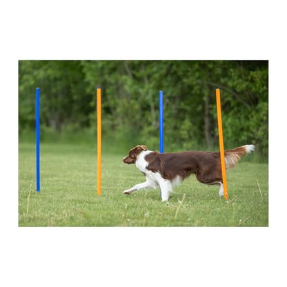 Trixie Dog Agility Slalom Course for All Breeds | 12 Adjustable Weave Poles - Agility at Home, Dog Obstacle Training Equipment