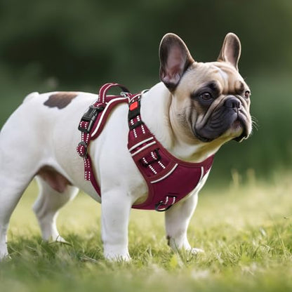 Timos Dog Harness Small Sized, No Pull Pet Harness with Neck Lockable Snap, No Choke Front Clip Reflective Vest, Adjustable Metal Rings 3 Buckles, Easy Control Handle for Small Dogs Burgundy S - color: Lock Burgundy, size: Small (Pack of 1)